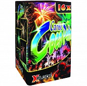 CARIBIC COCO PALM - 16 ran