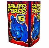 BRUTE FORCE - 16 ran